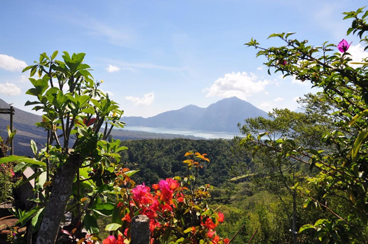 Alam Mimpi Bali Hotel Tejakula Buitenkant foto