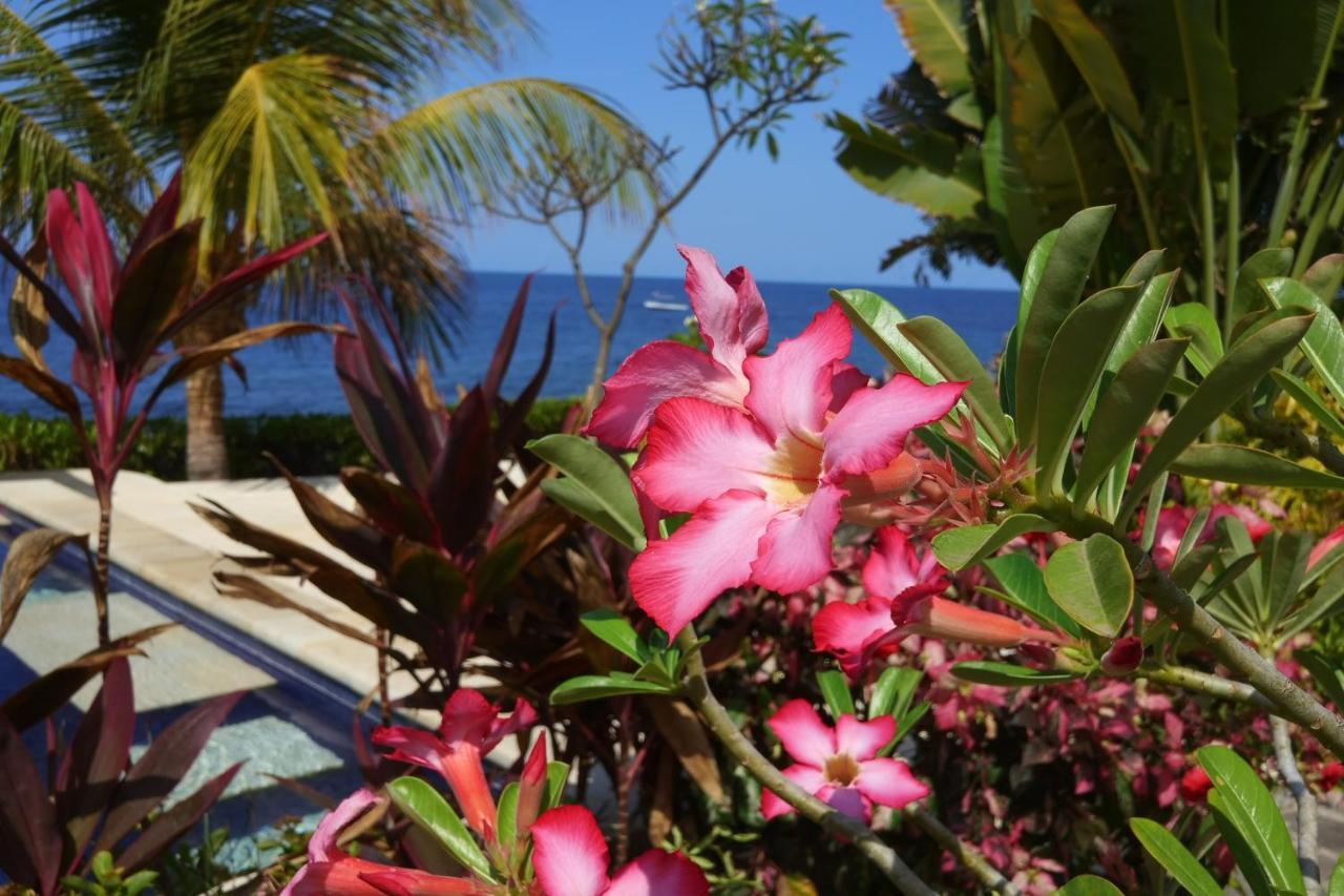 Alam Mimpi Bali Hotel Tejakula Buitenkant foto